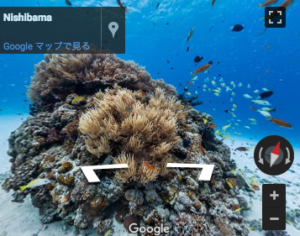 Google ストリートビューで沖縄の海中画像が観れる！！